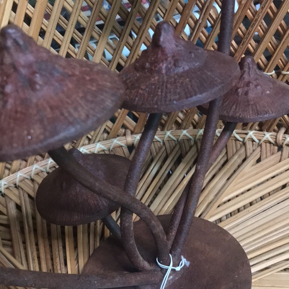 Anthropologie Whimsical Rustic Patina Iron Multiple Mushroom Tabletop Decor 🍄 - Picture 14 of 16